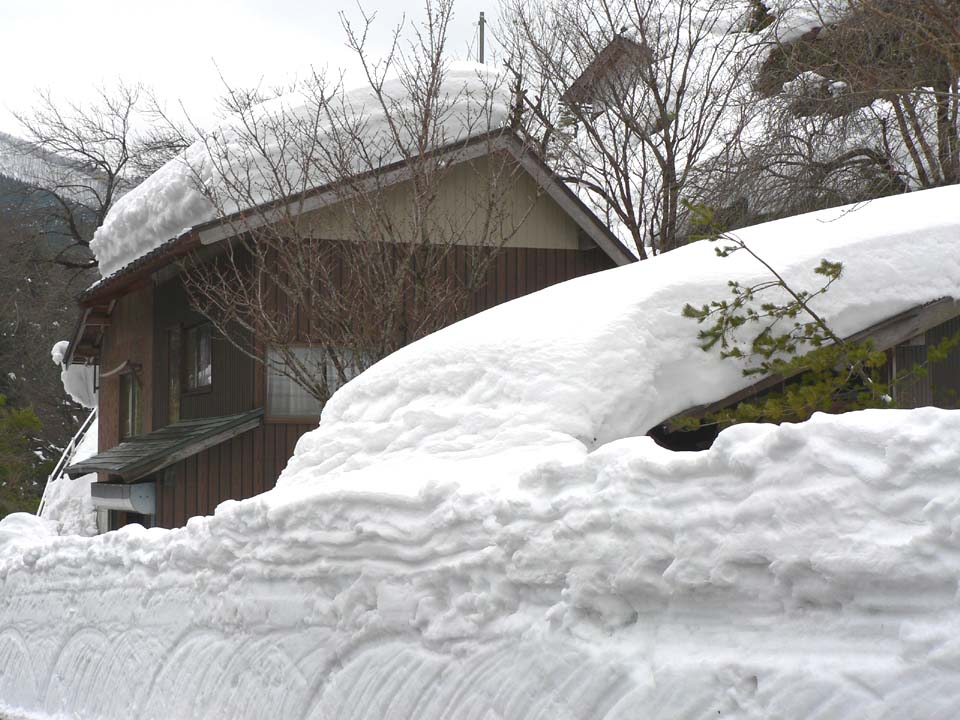 ナビ 道 鳥取 雪